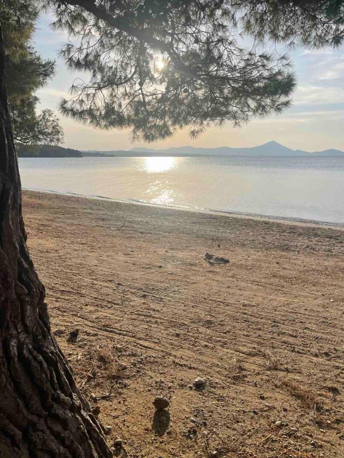 Μοντέρνα Εξοχική Μονοκατοικία Με Ιδιωτική Πισίνα! Khalkoutsion Exterior foto