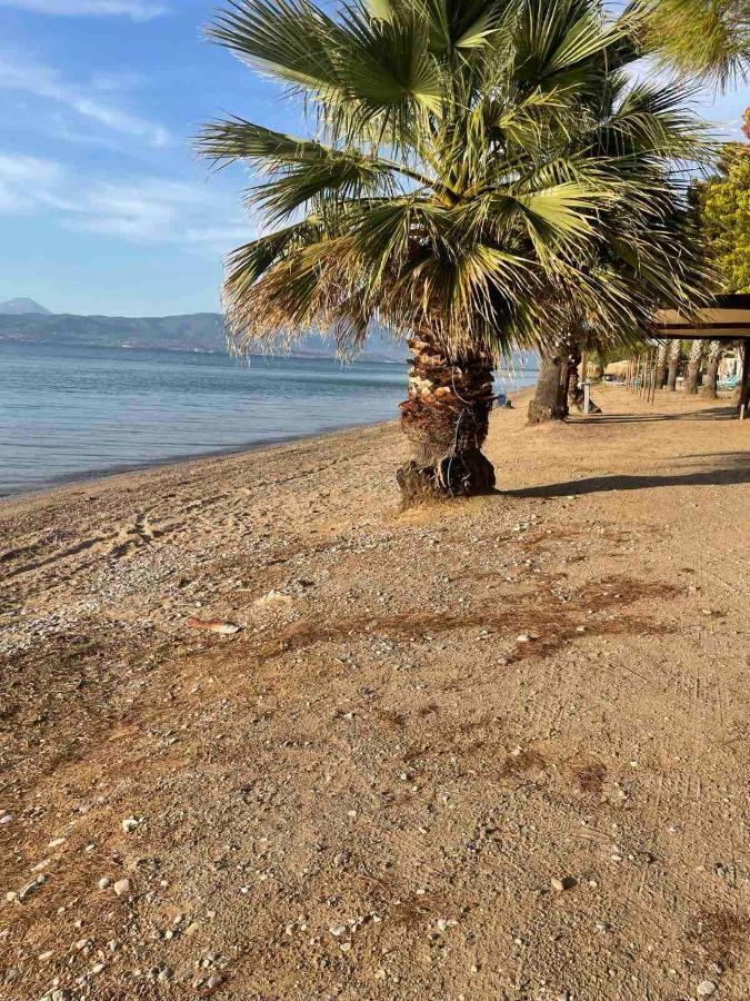 Μοντέρνα Εξοχική Μονοκατοικία Με Ιδιωτική Πισίνα! Khalkoutsion Exterior foto